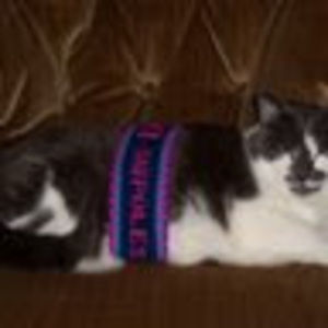 Meet your Posher, Tessa